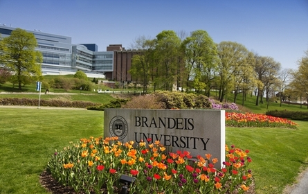 布蘭迪斯大學(xué)Brandeis University